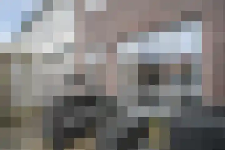 Zuijder Vlaerdinge 27 Heerhugowaard thumbnail 35