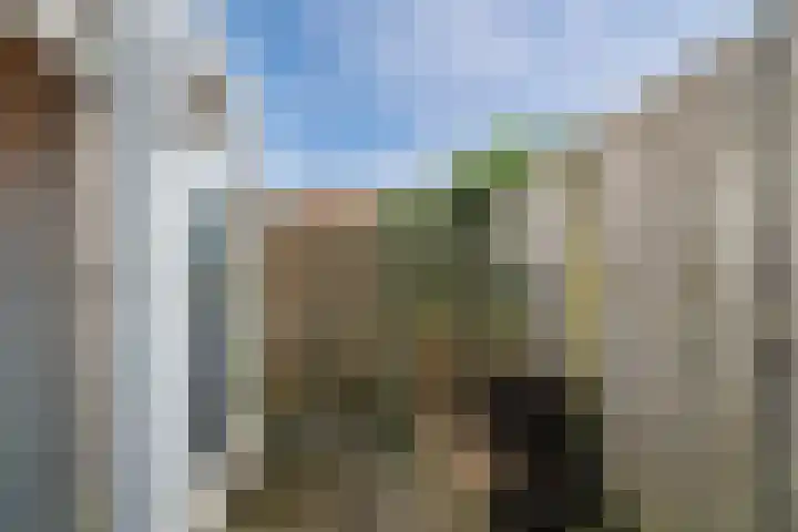 Zuijder Vlaerdinge 27 Heerhugowaard thumbnail 38
