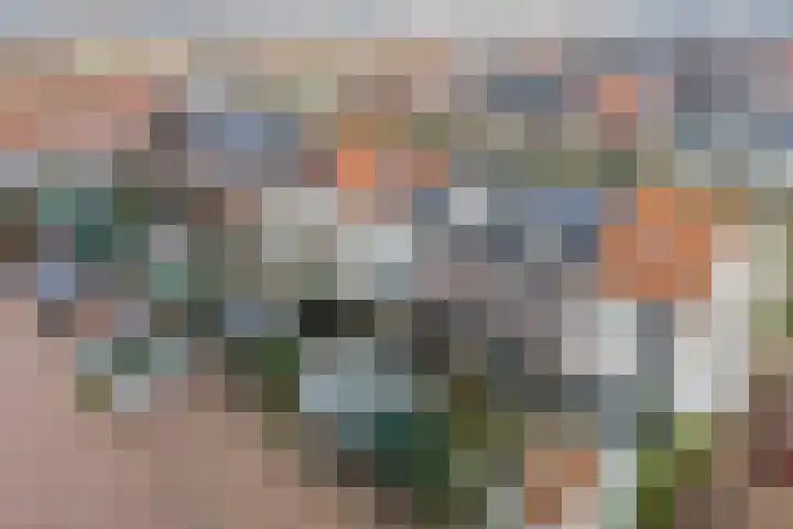 Zuijder Vlaerdinge 27 Heerhugowaard thumbnail 45