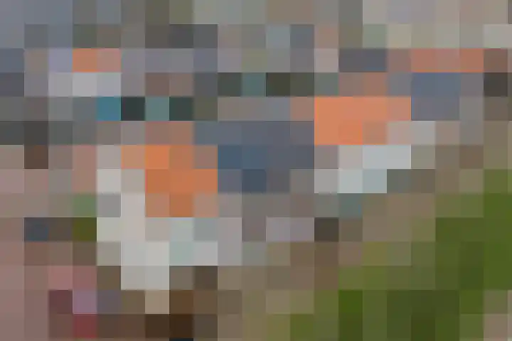 Zuijder Vlaerdinge 27 Heerhugowaard thumbnail 46