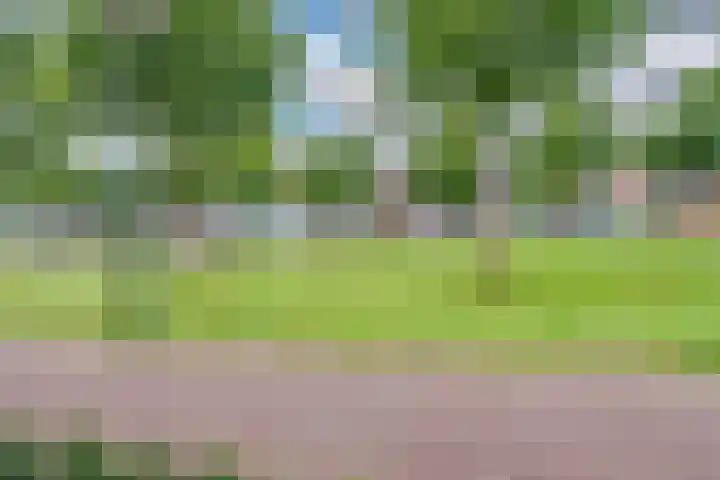 Zuijder Vlaerdinge 37 Heerhugowaard thumbnail 5