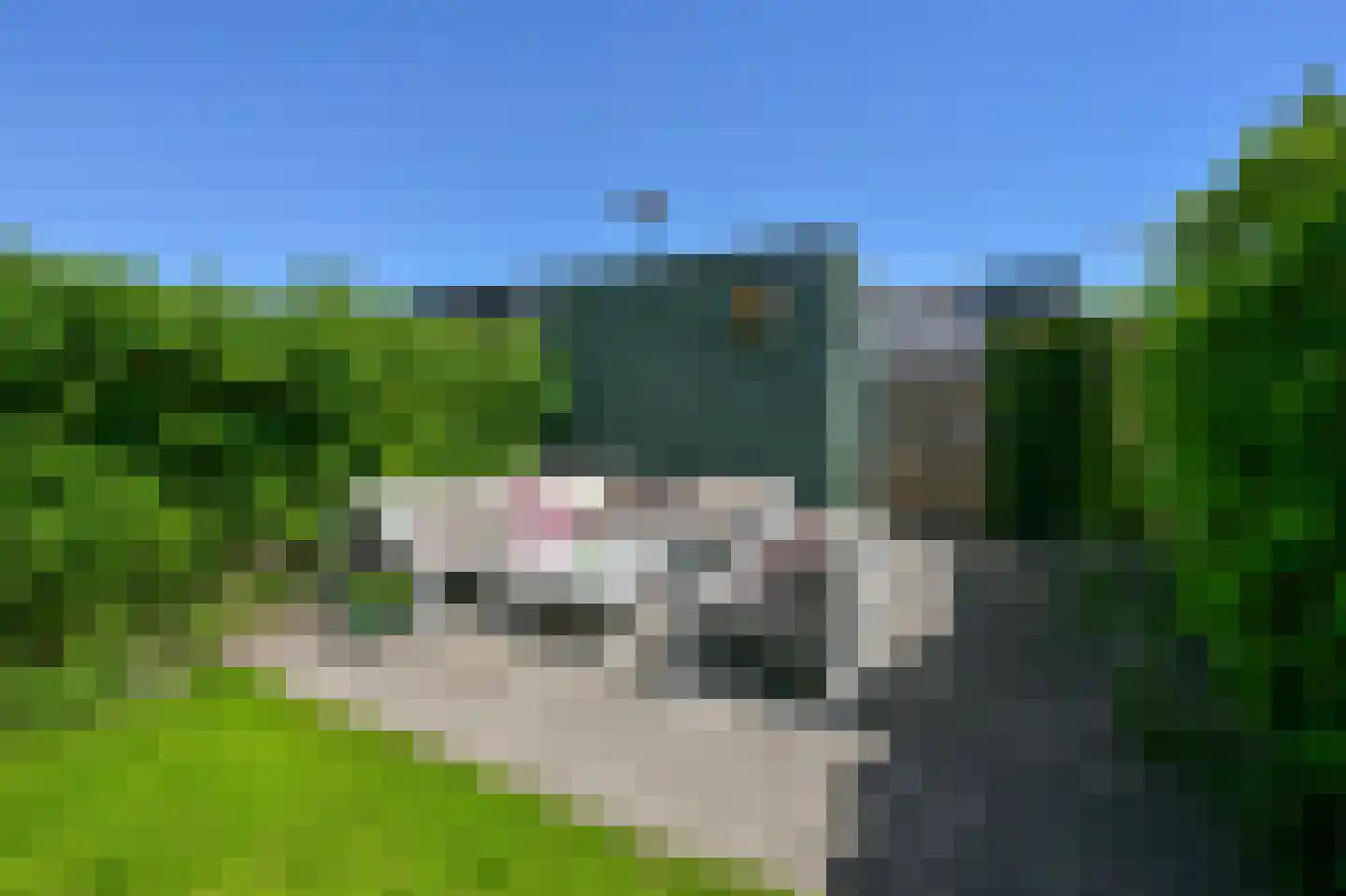 Zuijder Vlaerdinge 49 Heerhugowaard thumbnail 33