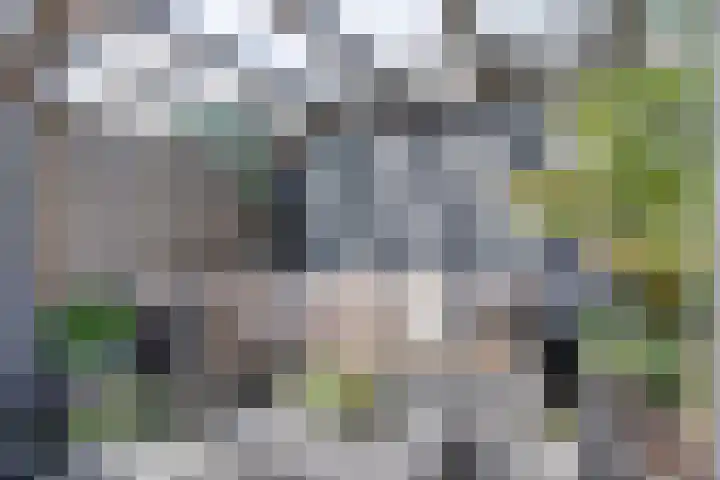 Zuijder Vlaerdinge 75 Heerhugowaard thumbnail 34