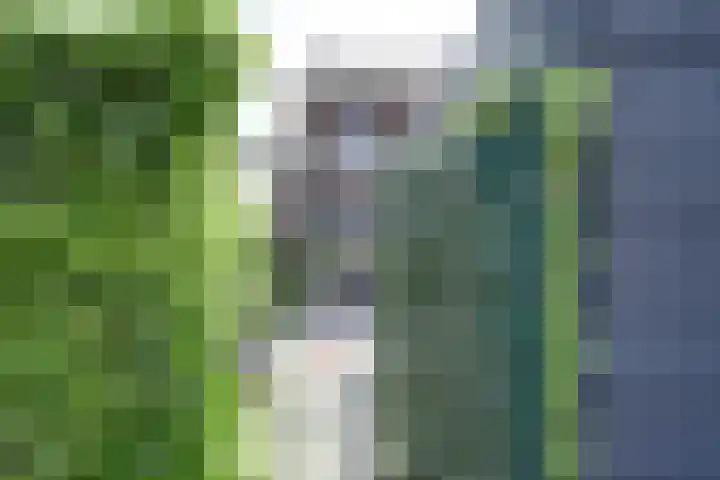 Zuijder Vlaerdinge 75 Heerhugowaard thumbnail 36