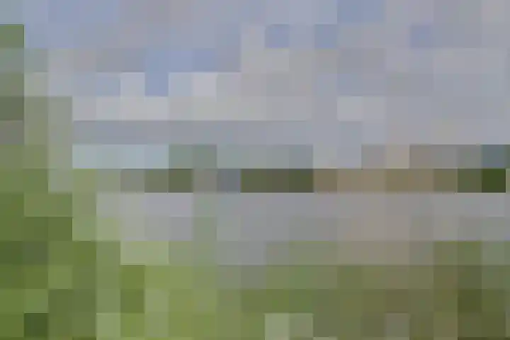 Zuijder Vlaerdinge 75 Heerhugowaard thumbnail 39