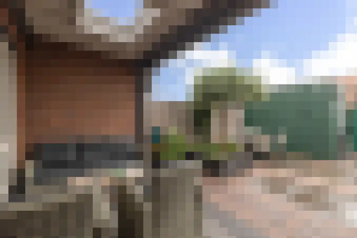 Zuijder Vlaerdinge 77 Heerhugowaard thumbnail 30