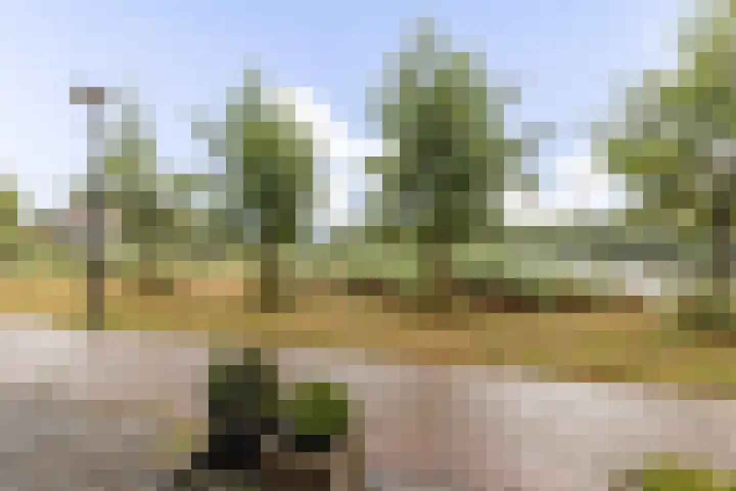 Zuijder Vlaerdinge 77 Heerhugowaard thumbnail 37