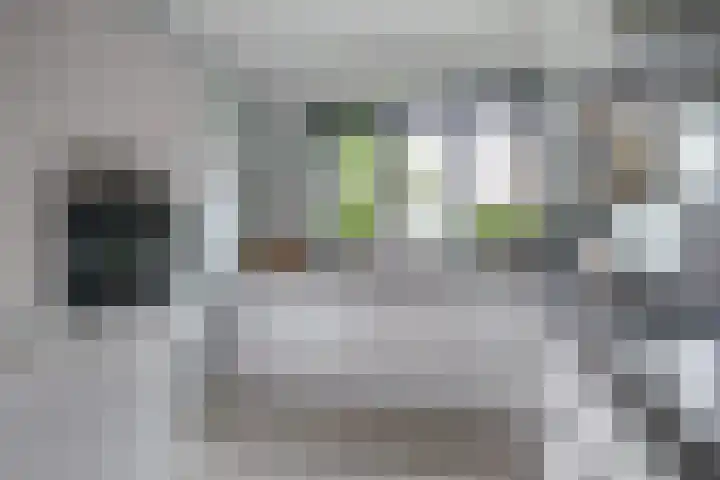 Zuijder Vlaerdinge 86 Heerhugowaard thumbnail 15