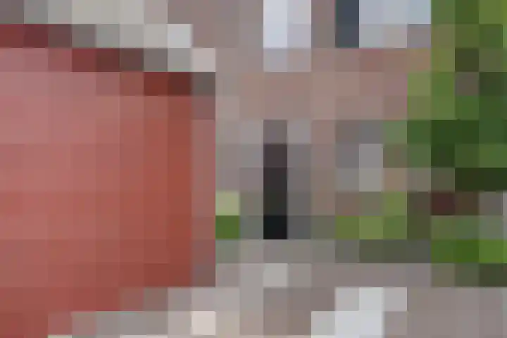 Zuijder Vlaerdinge 86 Heerhugowaard thumbnail 6