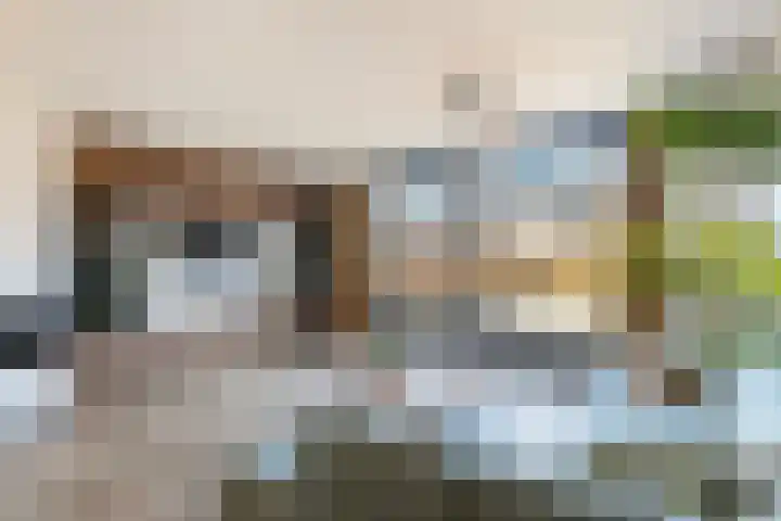 Zuilenburg 137 Dordrecht thumbnail 9