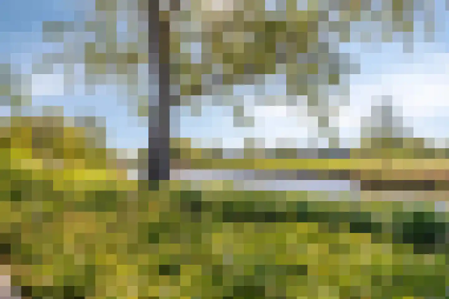 Zuilenburg 16 Vlissingen thumbnail 18