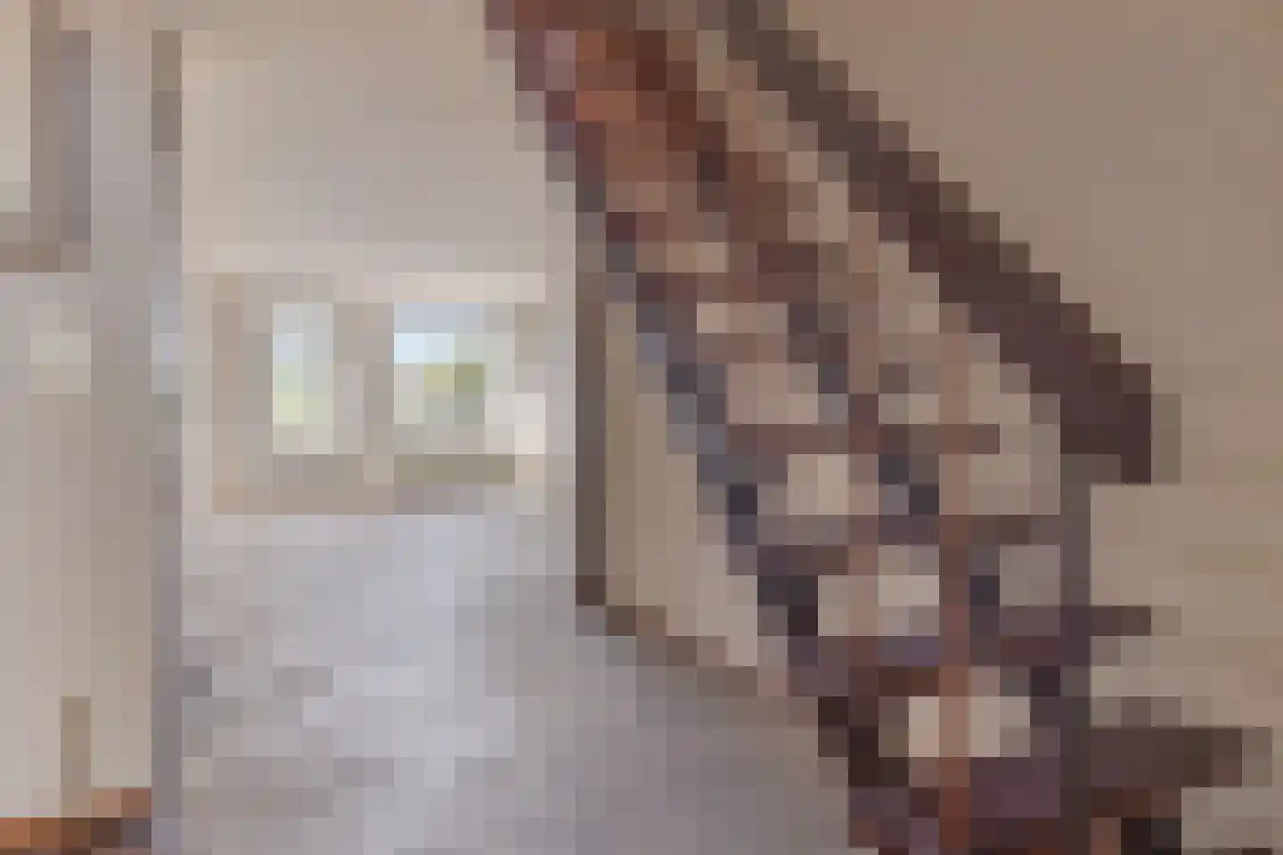 Zuilenburg 16 Vlissingen thumbnail 9