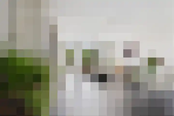 Zuilenburg 24 Vlissingen thumbnail 13