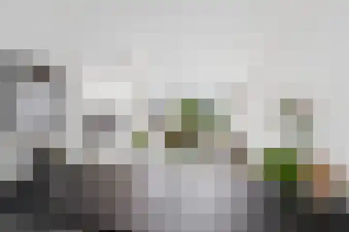 Zuilenburg 24 Vlissingen thumbnail 16
