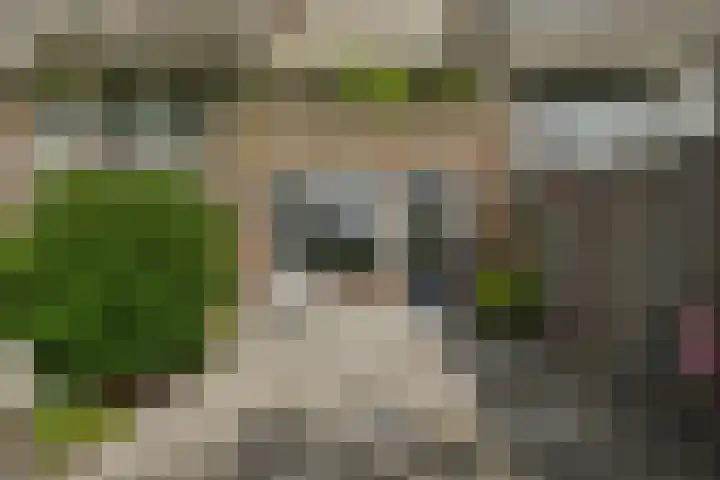 Zuilenburg 24 Vlissingen thumbnail 22