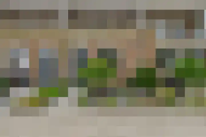 Zuilenburg 24 Vlissingen thumbnail 23