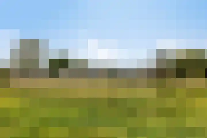 Zuilenburg 26 Vlissingen thumbnail 31