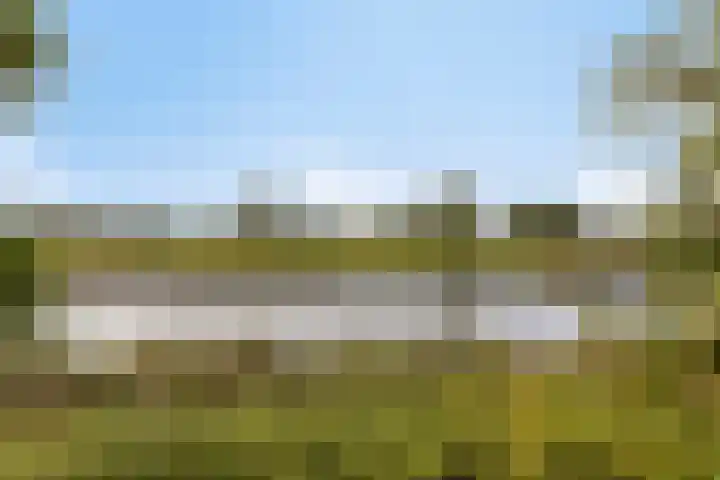 Zuilenburg 26 Vlissingen thumbnail 32