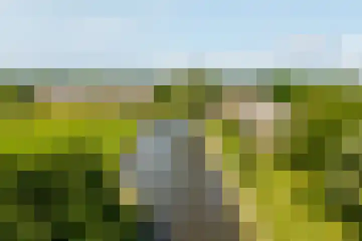 Zuilenburg 32 Vlissingen thumbnail 19