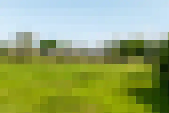 Zuilenburg 32 Vlissingen thumbnail 4