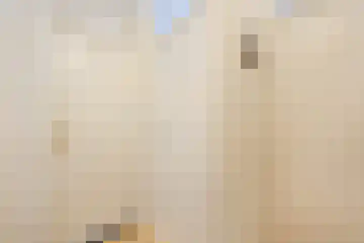 Zuilenburg 4 Heemskerk thumbnail 15