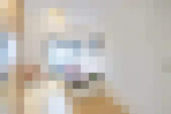 Zuilenburg 4 Heemskerk thumbnail 20
