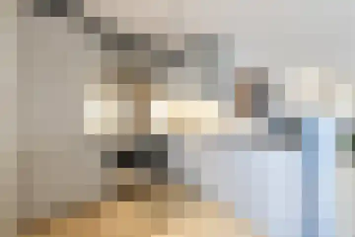 Zuilenburg 4 Heemskerk thumbnail 5