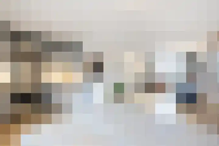 Zuilenburg 4 Heemskerk thumbnail 6