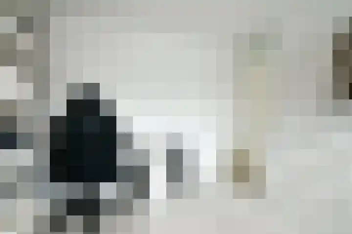 Zuilenburg 55 Heemskerk thumbnail 15