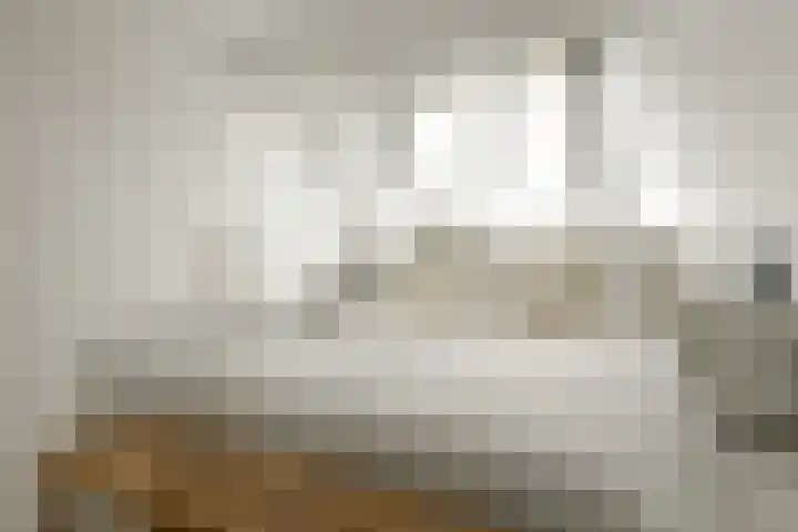 Zuilenburg 55 Heemskerk thumbnail 27