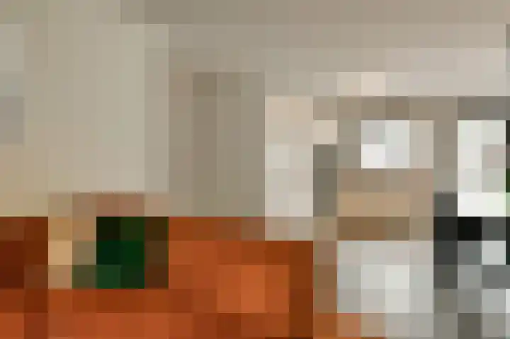 Zuilenburg 55 Heemskerk thumbnail 4
