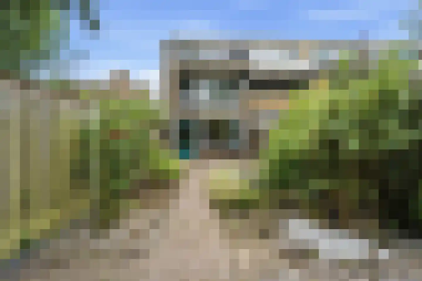 Zuilenburg 70 Vlissingen thumbnail 16