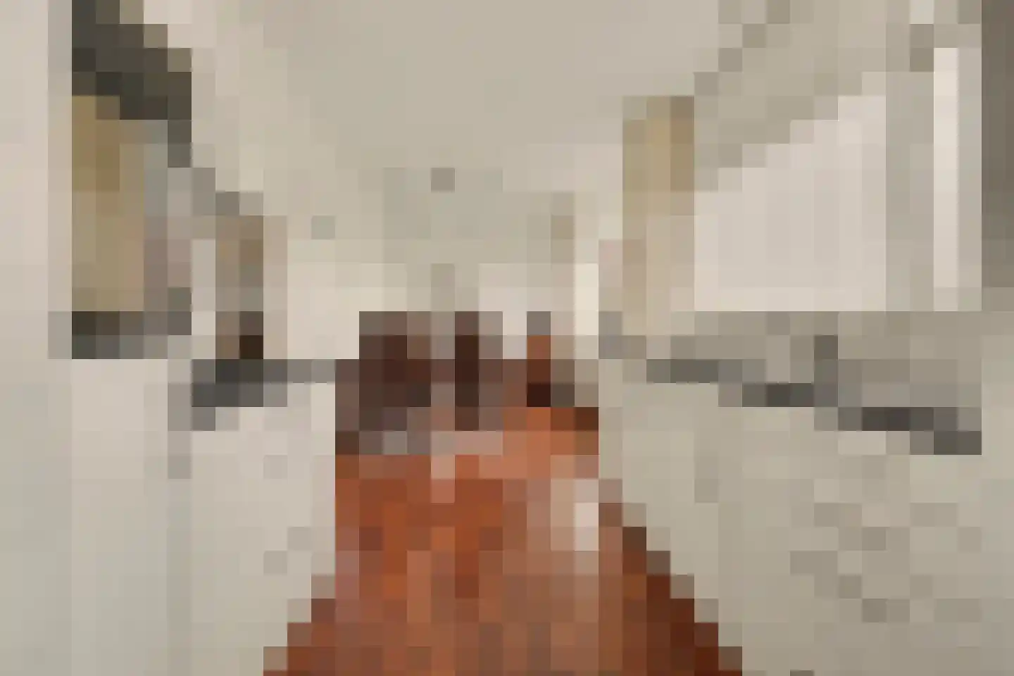 Zuilenesstraat 18 Winterswijk thumbnail 4