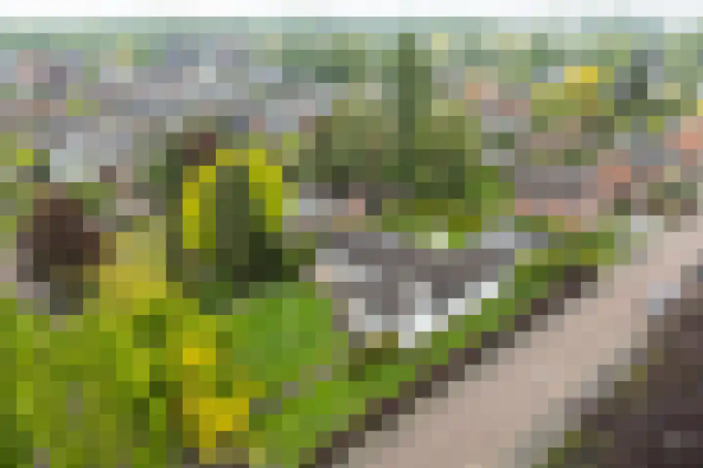 Zuilenesstraat 6 Winterswijk thumbnail 11