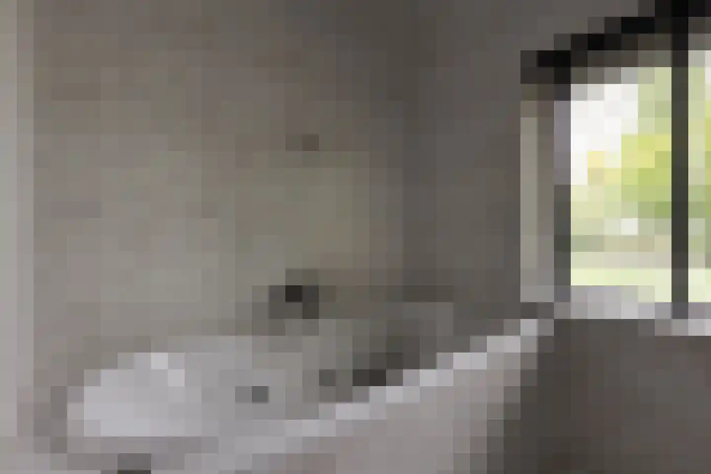 Zuilenesstraat 6 Winterswijk thumbnail 32