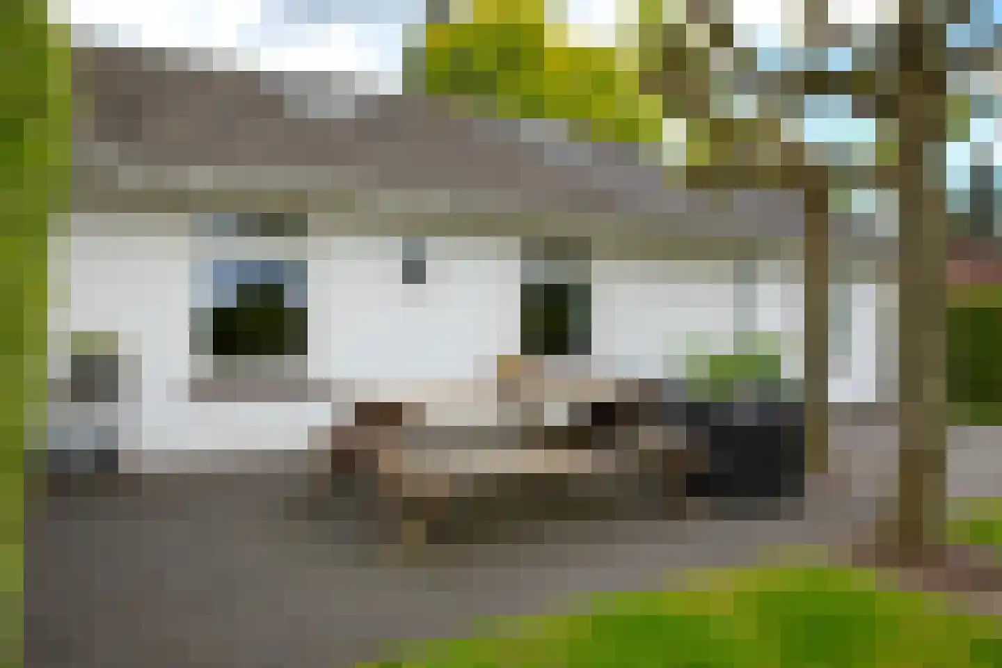 Zuilenesstraat 6 Winterswijk thumbnail 39