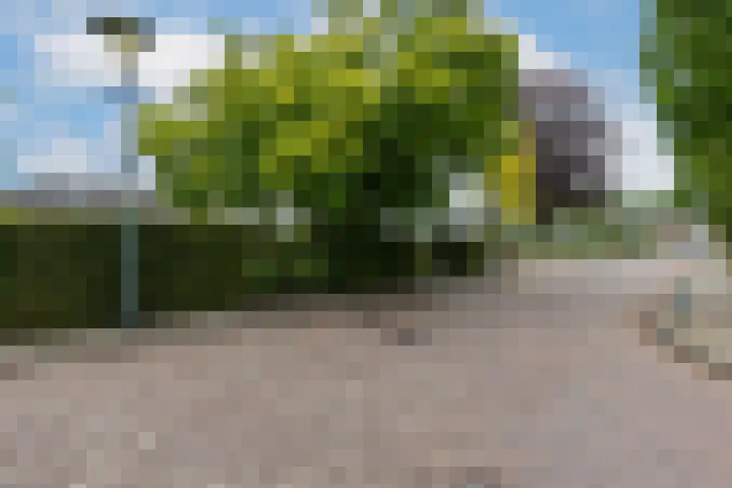 Zuilenesstraat 6 Winterswijk thumbnail 51