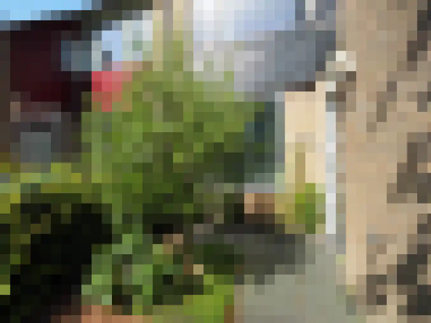 Zuilenstein 8 Zwijndrecht thumbnail 5