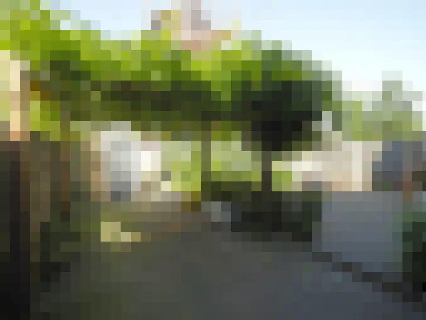 Zuilenstein 8 Zwijndrecht thumbnail 52