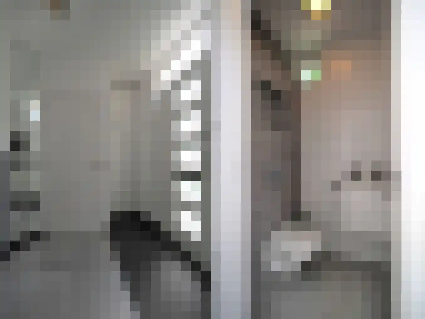Zuilenstein 8 Zwijndrecht thumbnail 9