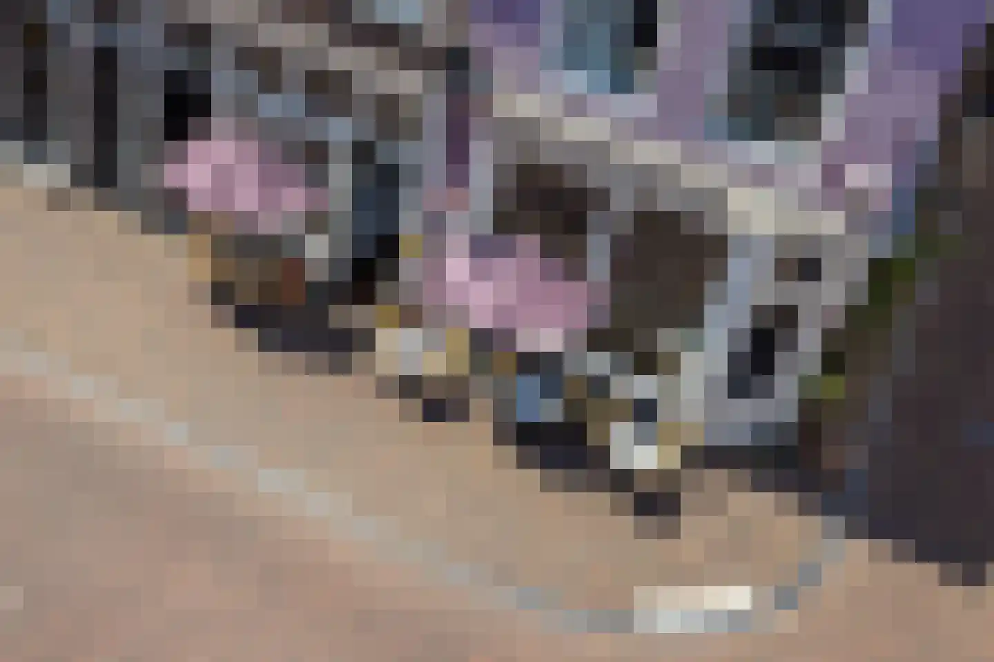 Zuilenstraat 1 2 Utrecht thumbnail 19
