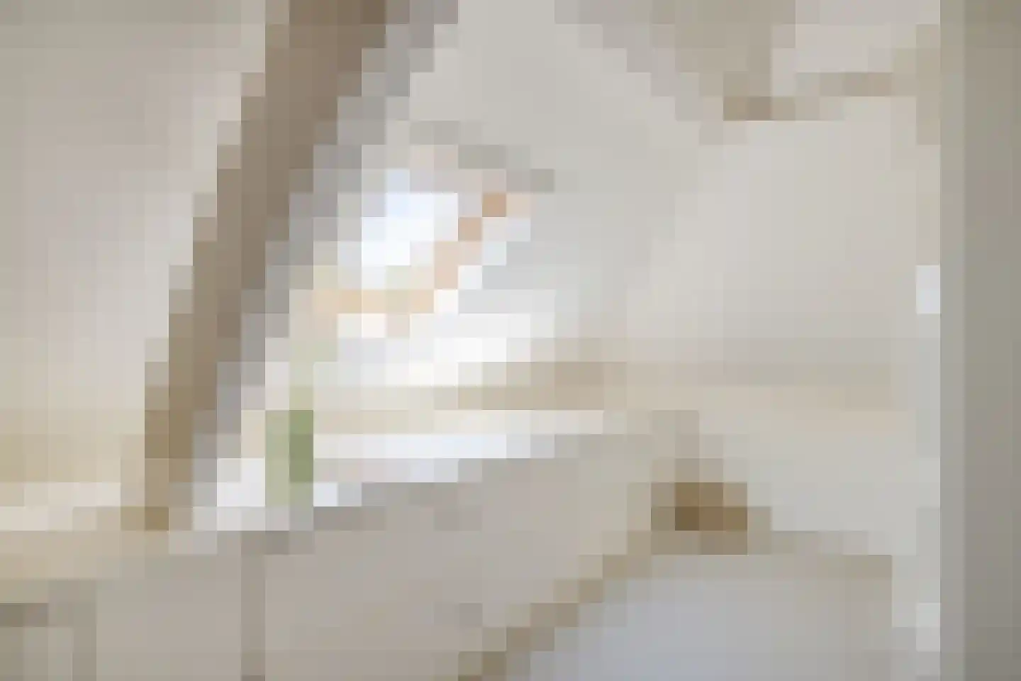 Zuilenstraat 1 2 Utrecht thumbnail 32