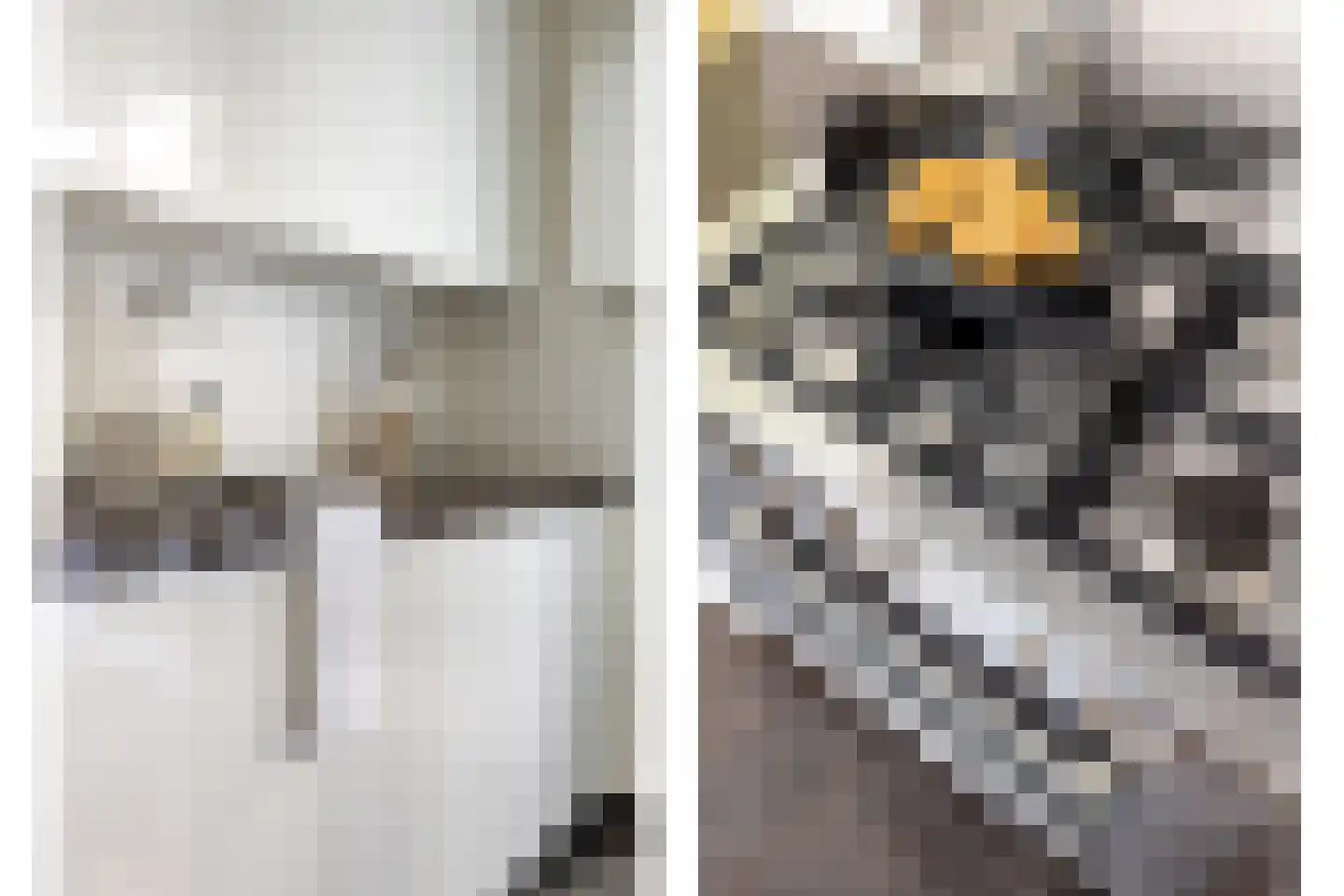 Zuilenstraat 1 Utrecht thumbnail 22