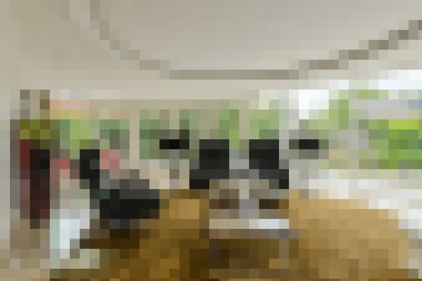 Zuilenstraat 16 Breda thumbnail 11