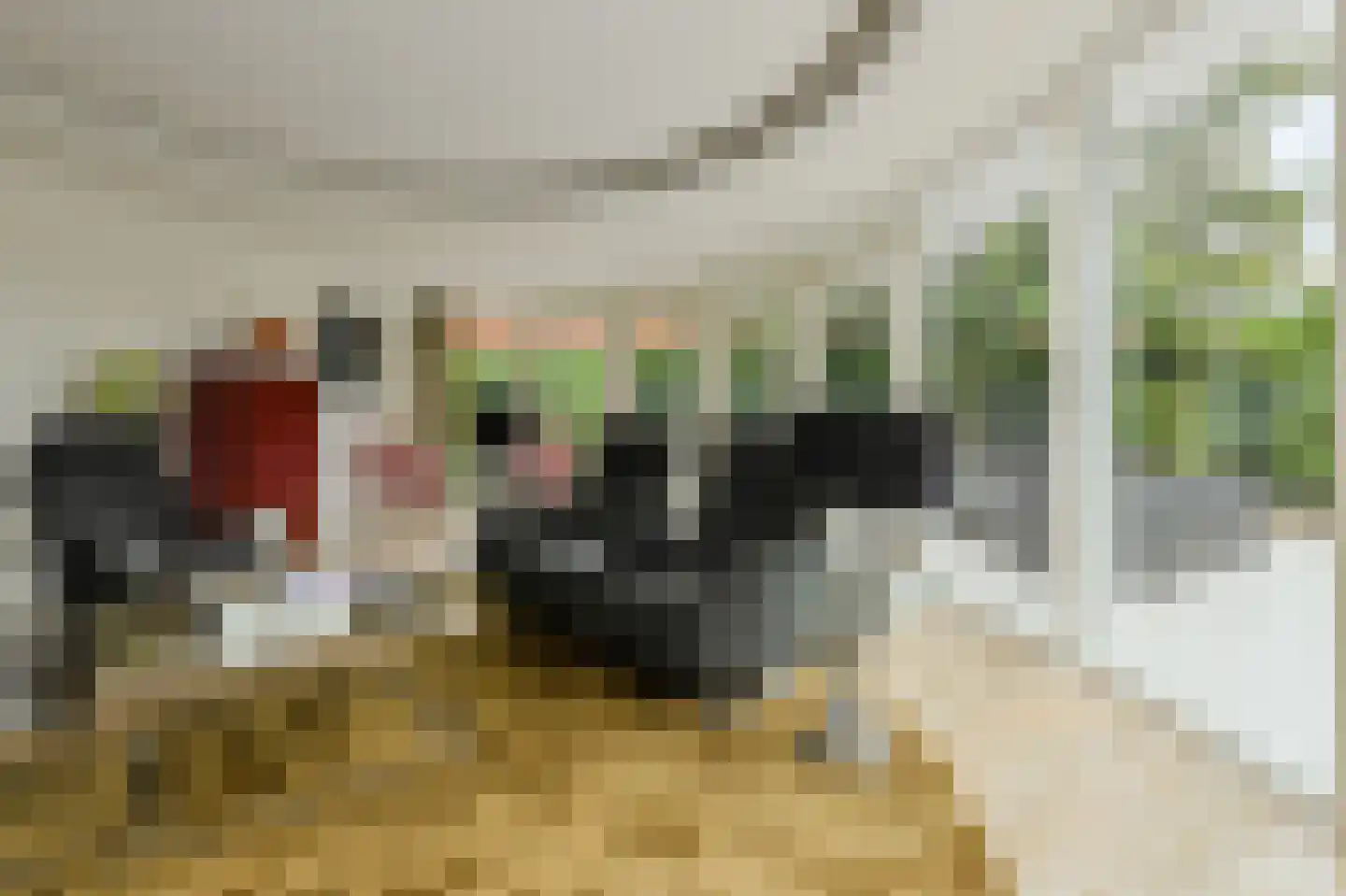 Zuilenstraat 16 Breda thumbnail 13