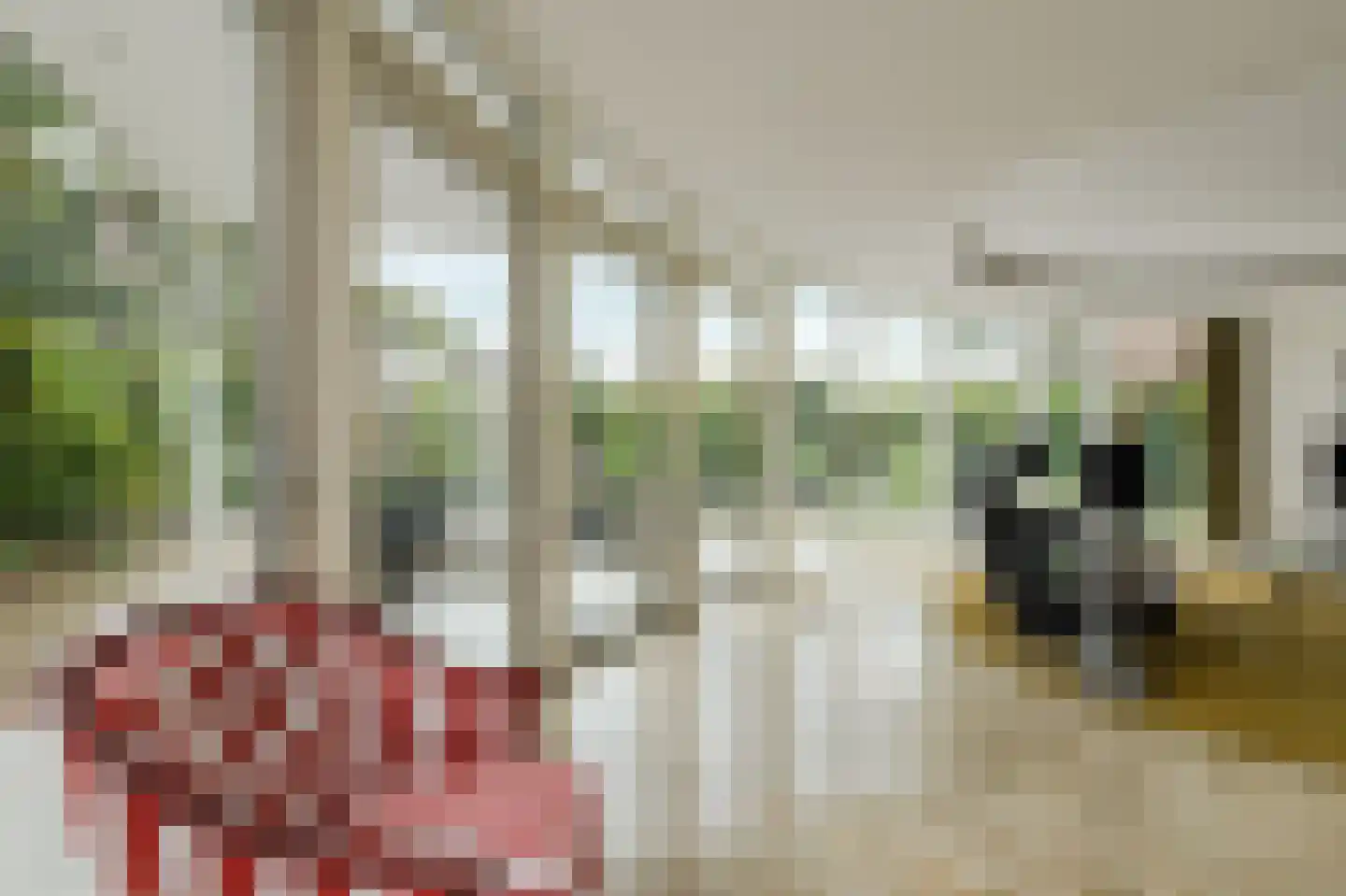 Zuilenstraat 16 Breda thumbnail 15