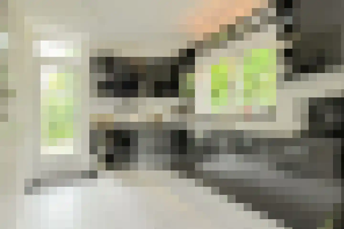 Zuilenstraat 16 Breda thumbnail 26