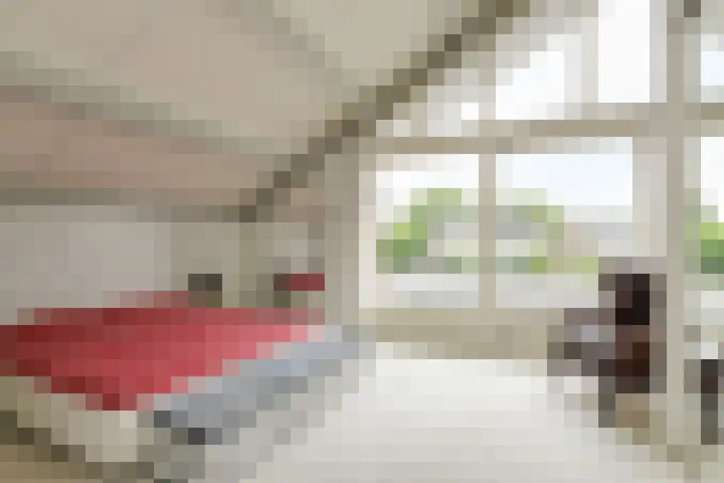Zuilenstraat 16 Breda thumbnail 33