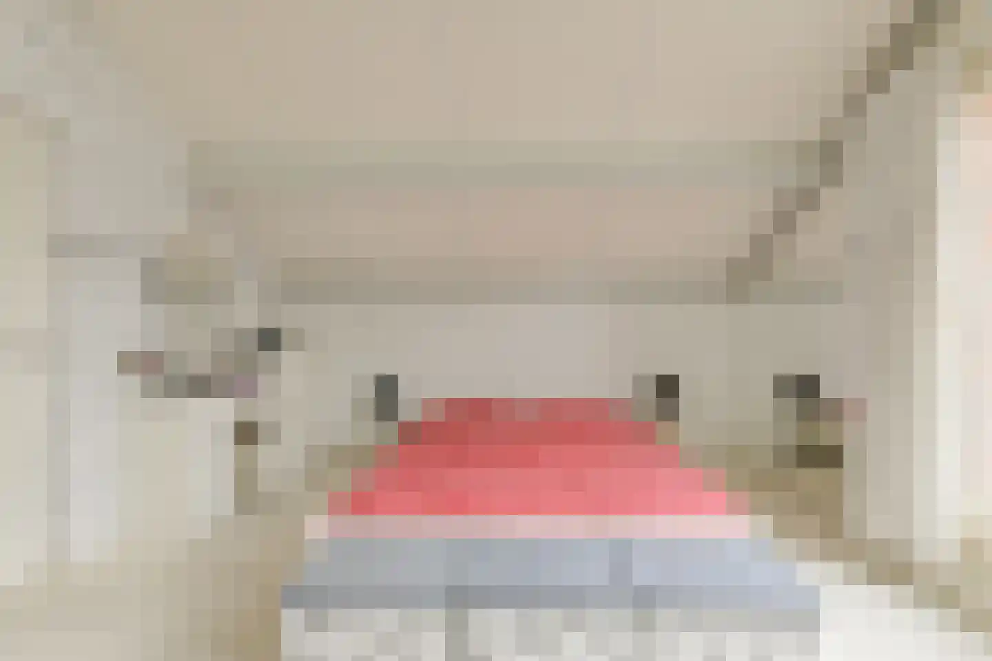 Zuilenstraat 16 Breda thumbnail 34
