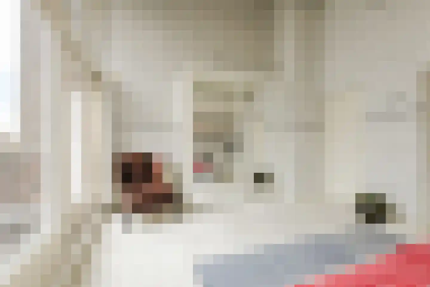 Zuilenstraat 16 Breda thumbnail 35
